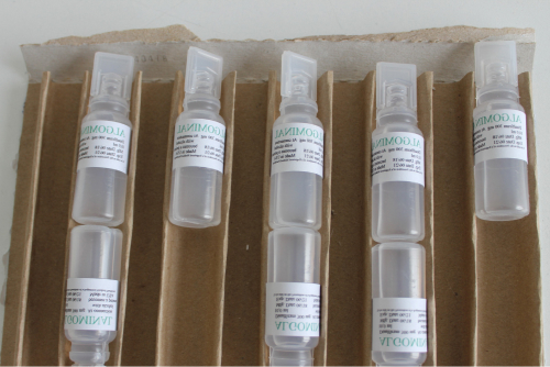 Алгоминал